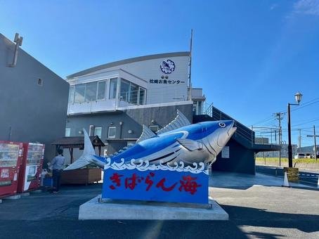 🐟 마쿠라자키 생선 센터 (마쿠라자키 오사카나 센타) 이미지 6